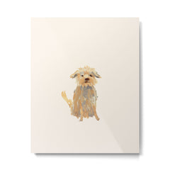 A dog called Jazz Metal Print