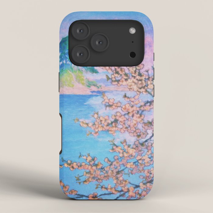 A Closer Look at Kukuyediyo (Series IV of IV) - Nature Landscape iPhone Case