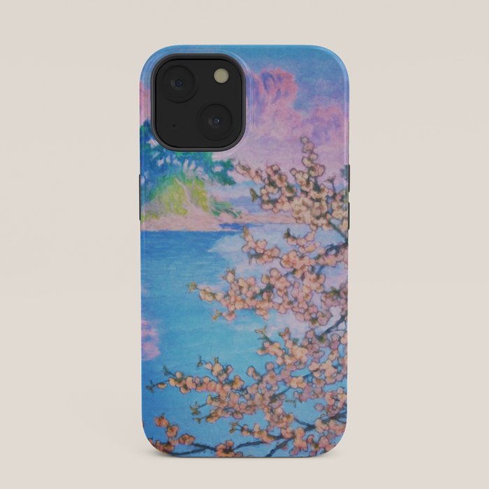 A Closer Look at Kukuyediyo (Series IV of IV) - Nature Landscape iPhone Case