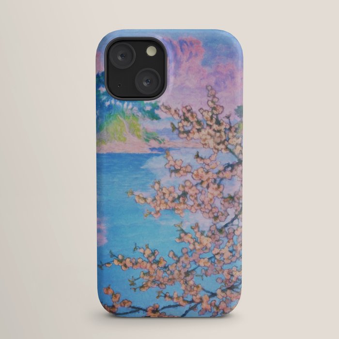 A Closer Look at Kukuyediyo (Series IV of IV) - Nature Landscape iPhone Case
