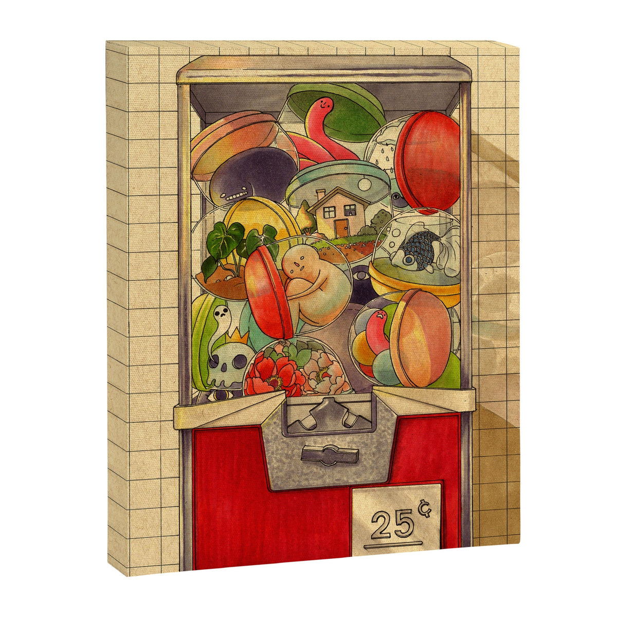 25������ Canvas Print