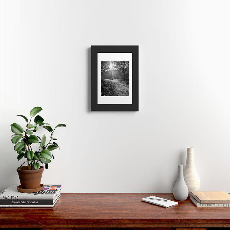 "Sunlit Solitude" by Maria Popova Framed Art Print