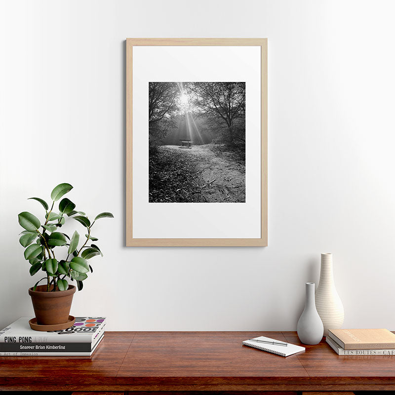 "Sunlit Solitude" by Maria Popova Framed Art Print