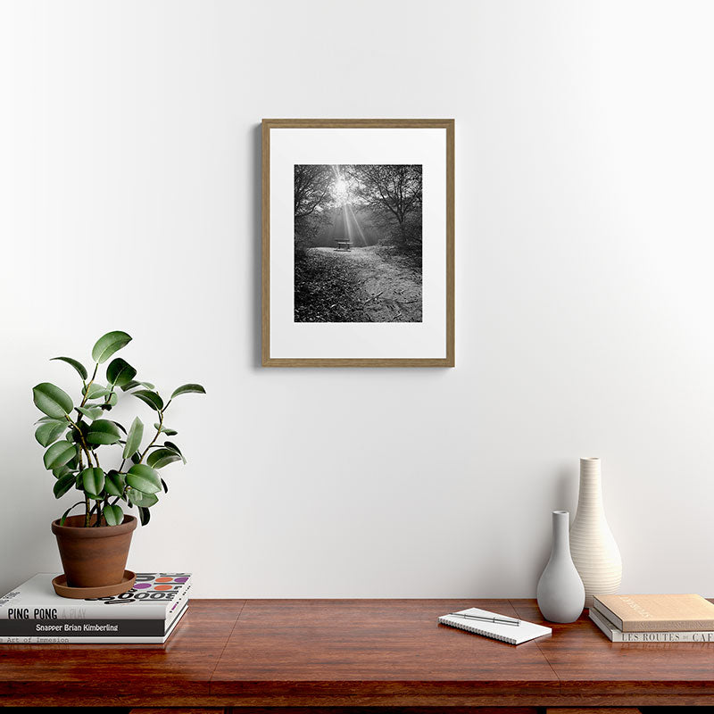 "Sunlit Solitude" by Maria Popova Framed Art Print