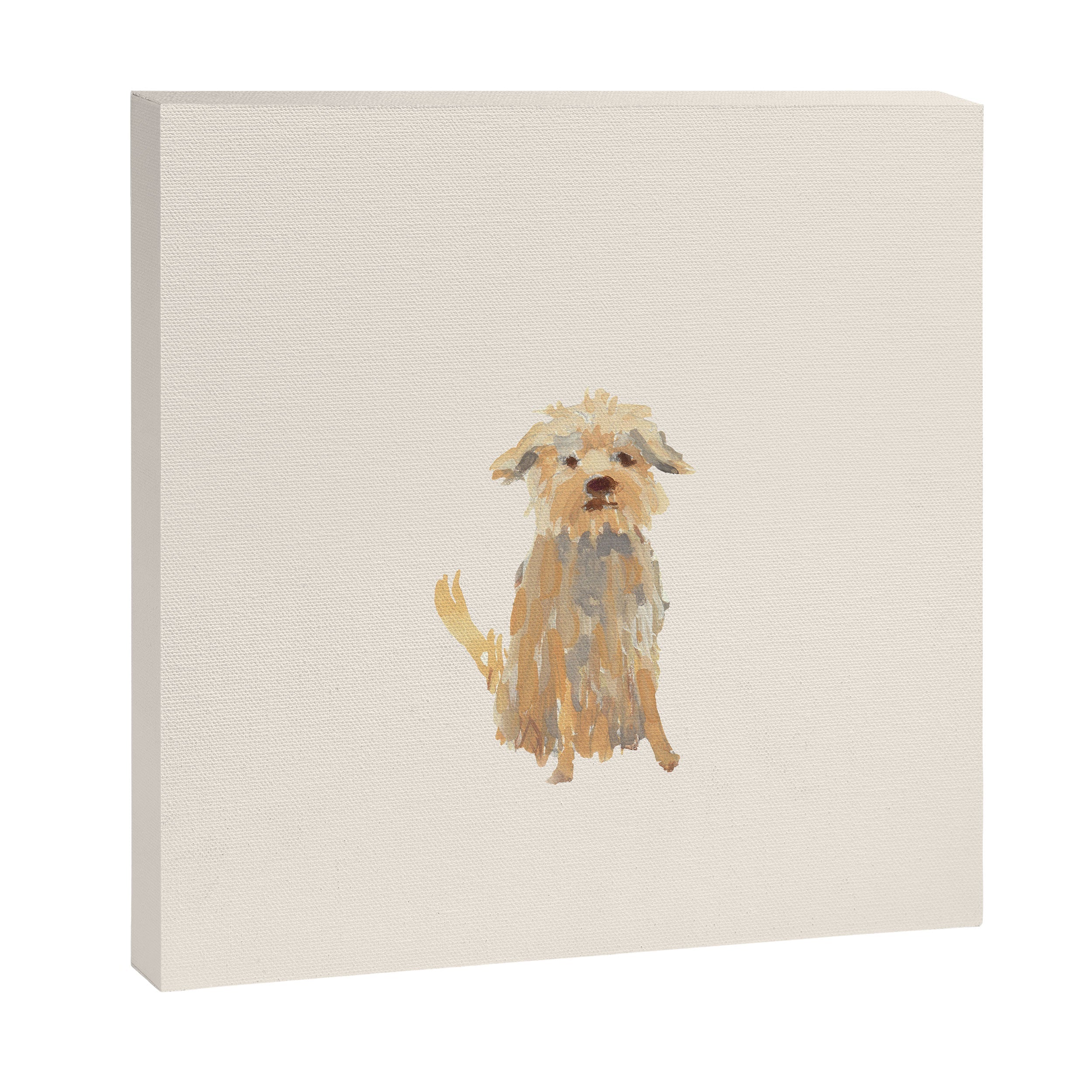 A dog called Jazz Canvas Print
