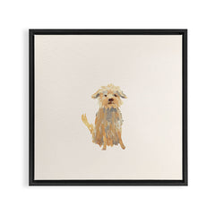 A dog called Jazz Framed Canvas Print