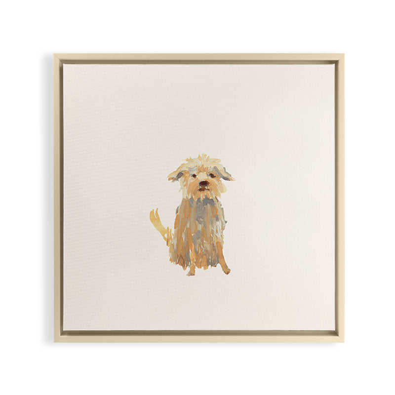 A dog called Jazz Framed Canvas Print