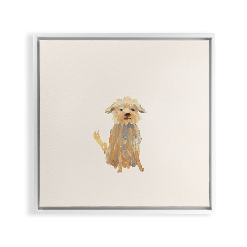 A dog called Jazz Framed Canvas Print