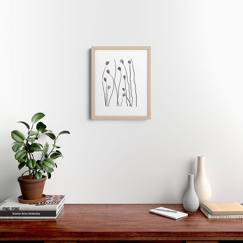 A group of poppy heads Framed Art Print