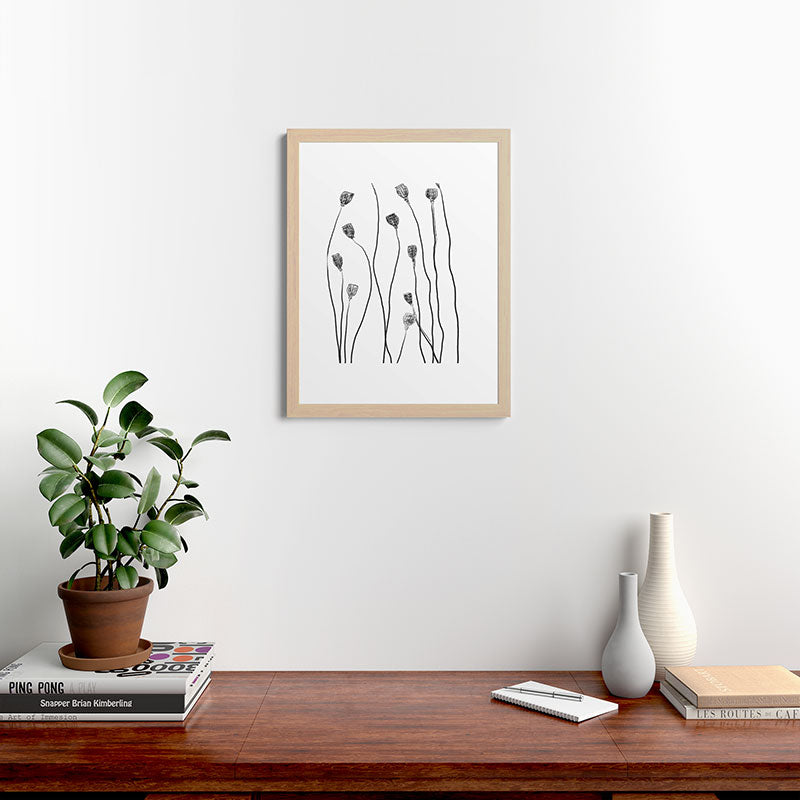A group of poppy heads Framed Art Print