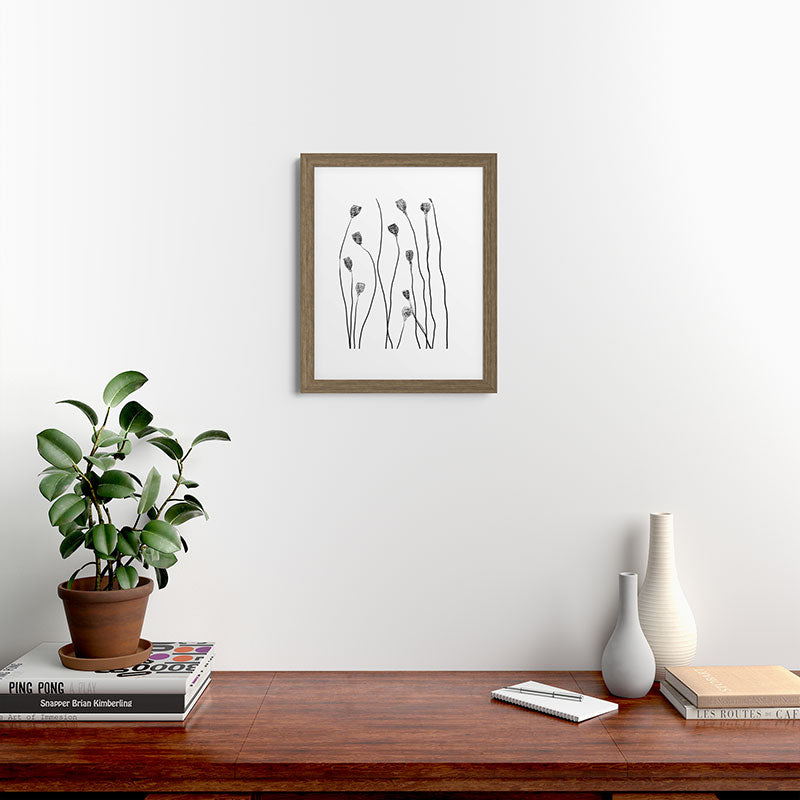 A group of poppy heads Framed Art Print