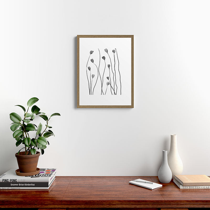 A group of poppy heads Framed Art Print