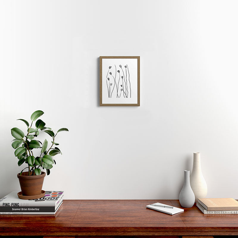 A group of poppy heads Framed Art Print