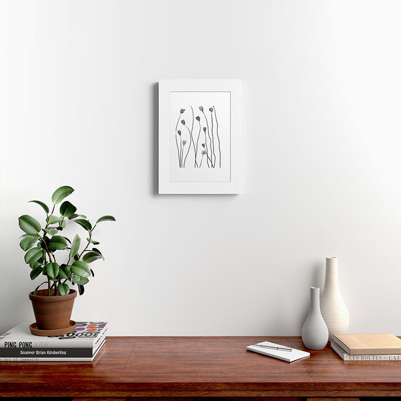 A group of poppy heads Framed Art Print