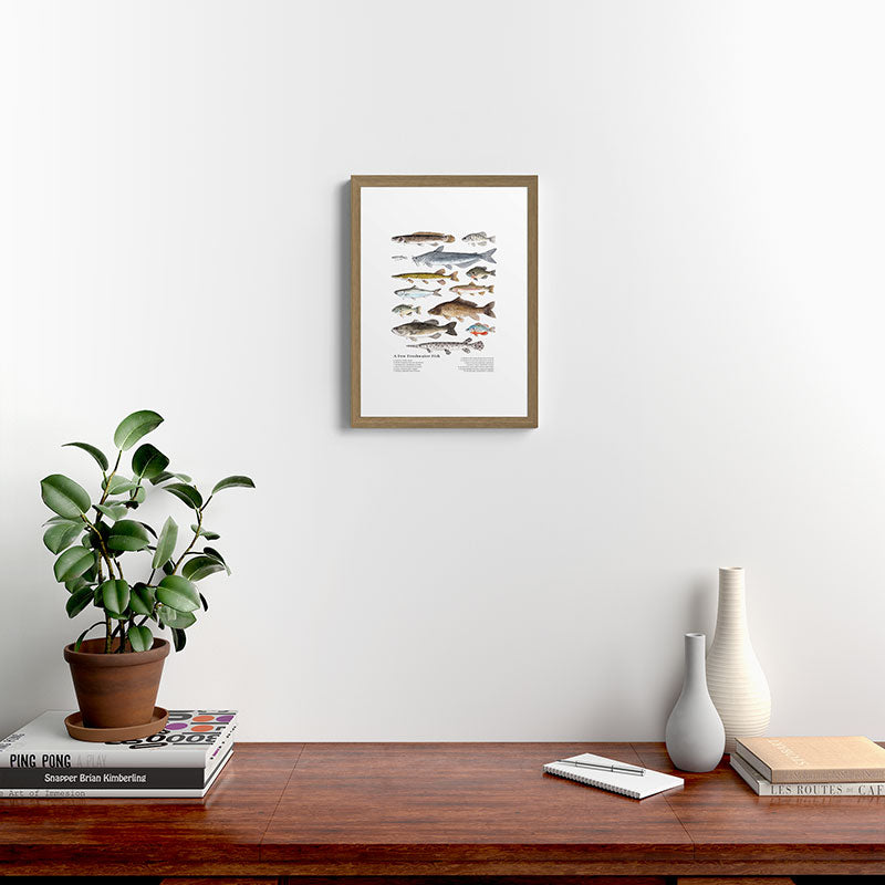A Few Freshwater Fish Framed Art Print