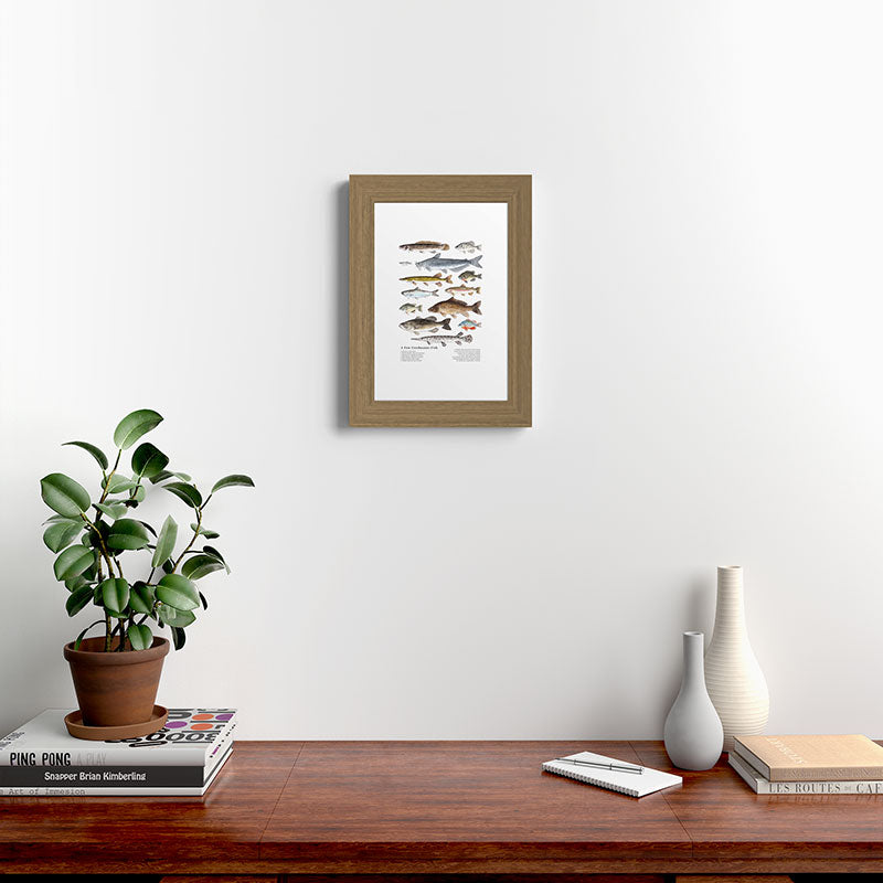 A Few Freshwater Fish Framed Art Print
